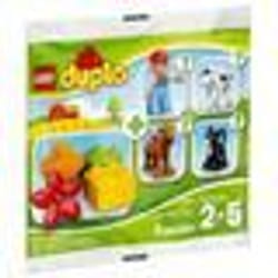 LEGO® DUPLO 30067 Farm V29