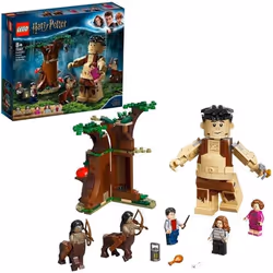 LEGO® Harry Potter™ 75967 La forêt interdite : La rencontre dOmbrage