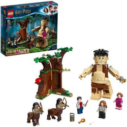 LEGO® Harry Potter™ 75967 La forêt interdite : La rencontre dOmbrage