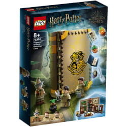 LEGO Poudlard Cours de Botanique - 76384