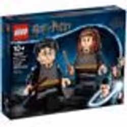 LEGO® Harry Potter™ 76393 Harry Potter™ et Hermione Granger™ - Lego Harry Potter