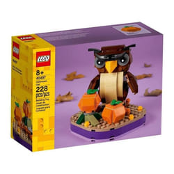 LEGO 40497 Le hibou d'Halloween Condition : Nouveau.