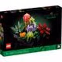 Plantes artificielles - LEGO - 10309 - 9 petites succulentes - Briques LEGO - Décoration intérieure