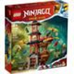 LEGO Ninjago Temple de la puissance du dragon 71795