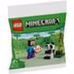 LEGO Minecraft - Steve et le bébé panda (Polybag) - 30672 - TU