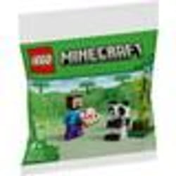 LEGO Minecraft - Steve et le bébé panda (Polybag) - 30672 - TU