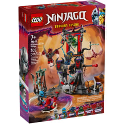 LEGO NINJAGO - Le village de la tempête draconique - 71841