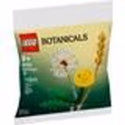 LEGO Botanical Collection - Les fleurs des champs (Polybag) - 30701 - TU