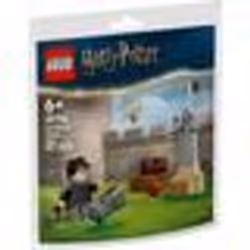 LEGO Harry Potter - La leçon de Quidditch (Polybag) - 30706 - TU