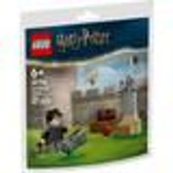 LEGO Harry Potter - La leçon de Quidditch (Polybag) - 30706 - TU