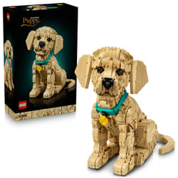 LEGO Icons 11384 Le chiot Golden Retriever - Ensemble de Construction Créatif sur le Thème des Animaux en Briques
