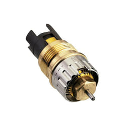 Insert thermostatique pour ra-n 20 bg