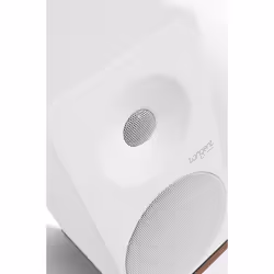 Tangent Spectrum X5 haut-parleur 2-voies Blanc Avec fil 100 W