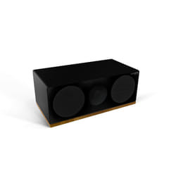 Tangent Spectrum XC haut-parleur 2-voies Noir Avec fil 100 W