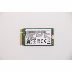 Lenovo 5SS0W76183, 256 Go, M.2
