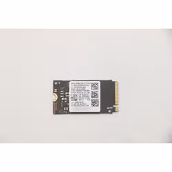 Lenovo 5SS0V42253, 256 Go, M.2