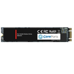 CoreParts CPSSD-M.2SATA-256GB disque SSD M.2 256 Go Série ATA III SLC