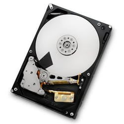 Western Digital Deskstar HDS723020BLA642 disque dur 3.5" 2 To SATA