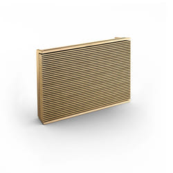Bang & Olufsen Beosound Level Or