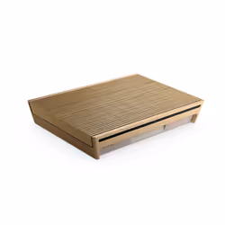 Bang & Olufsen Beosound Level Or