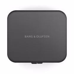 Bang & Olufsen BeoPlay H95 Gris - Vue supplémentaire 24