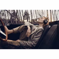 Bang & Olufsen BeoPlay H95 Gris - Vue supplémentaire 31