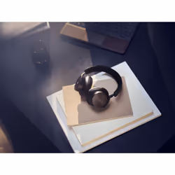 Bang & Olufsen BeoPlay H95 Gris - Vue supplémentaire 35