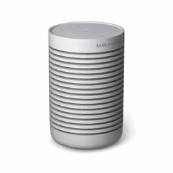 Bang & Olufsen BeoSound Explore Gris 60 W