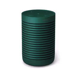 Bang & Olufsen BeoSound Explore Vert 60 W