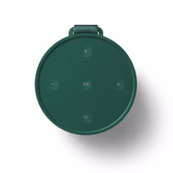 Bang & Olufsen BeoSound Explore Vert 60 W - Vue supplémentaire 4