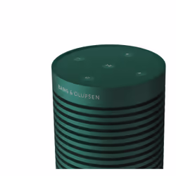 Bang & Olufsen BeoSound Explore Vert 60 W - Vue supplémentaire 5