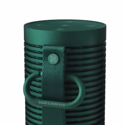 Bang & Olufsen BeoSound Explore Vert 60 W - Vue supplémentaire 7