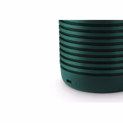 Bang & Olufsen BeoSound Explore Vert 60 W - Vue supplémentaire 9