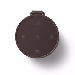 Bang & Olufsen BeoSound Explore Marron 60 W
