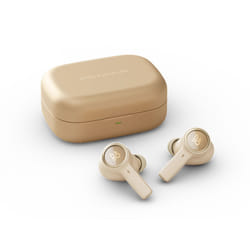 Bang & Olufsen BeoPlay EX Or