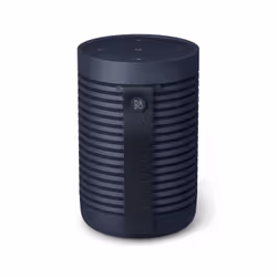 Bang & Olufsen BeoSound Explore Marine 60 W