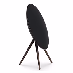 Bang & Olufsen BeoSound A9 Noir Avec fil &sans fil 1500 W