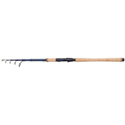 Canne à pêche télescopique - DAM - Steelhead Iconic - 6 - 180 m - 2-12 g - 5 sections