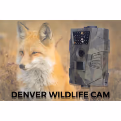 Denver WCT-5001