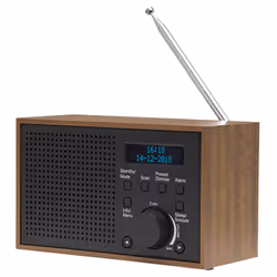 Denver DAB-46DARK GREY, Internet, Analogique et numérique, DAB+, FM, 2 W, LCD, Noir, Marron