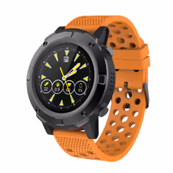 Denver SW-660, 3,3 cm (1.3"), AMOLED, Écran tactile, GPS (satellite), 260 g