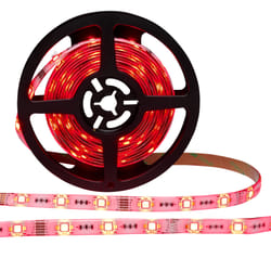 Denver LSC-531 LED lumineuse Ruban lumineux universel Intérieure 5000 mm