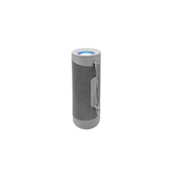 Denver BTV-208G haut-parleur portable et de fête Enceinte portable mono Argent 100 W