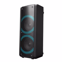 Denver BPS-352 haut-parleur portable et de fête Enceinte portable stéréo Noir 300 W