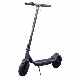 Denver SEL-10360DONAR, Scooter classique, 20 km/h, 100 kg, unisexe, Gris, 2 roue(s)