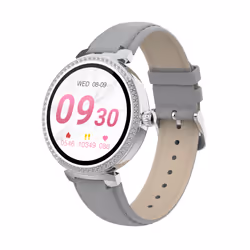 Denver SWC-342GR 3,05 cm (1.2") IPS Tactile Argent