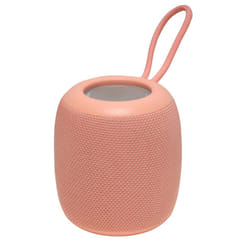 Denver BTV-130P haut-parleur portable et de fête