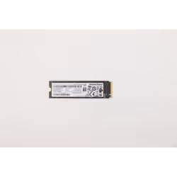 Lenovo 5SS0V26411, 256 Go, M.2