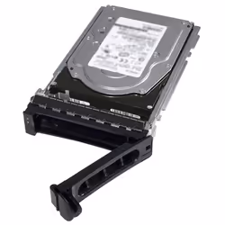 DELL W02FT, 480 Go, 2.5"
