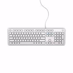 DELL KB216, Taille réelle (100 %), USB, QWERTY, Blanc